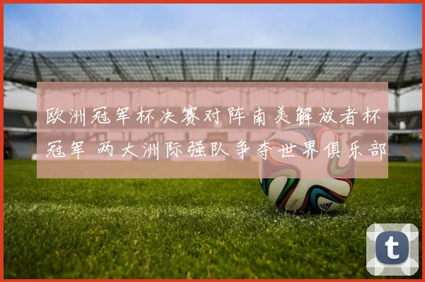 欧洲冠军杯决赛对阵南美解放者杯冠军 两大洲际强队争夺世界俱乐部荣誉