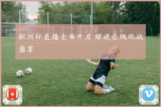 欧洲杯直播全面开启 球迷在线观战盛宴