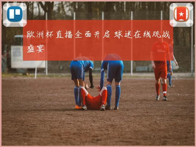 欧洲杯直播全面开启 球迷在线观战盛宴