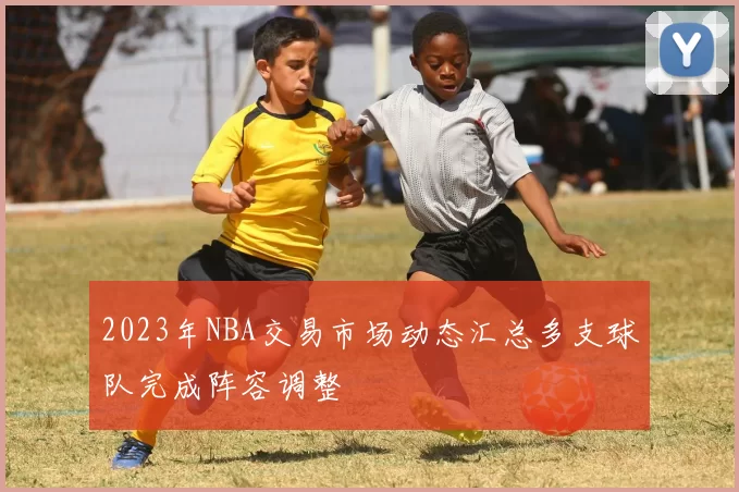 2023年NBA交易市场动态汇总多支球队完成阵容调整